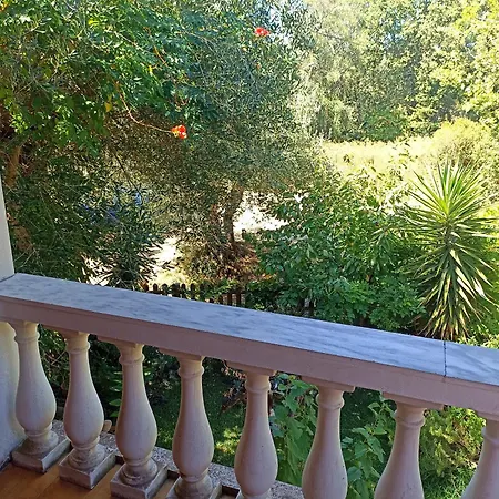 Apartment Iren