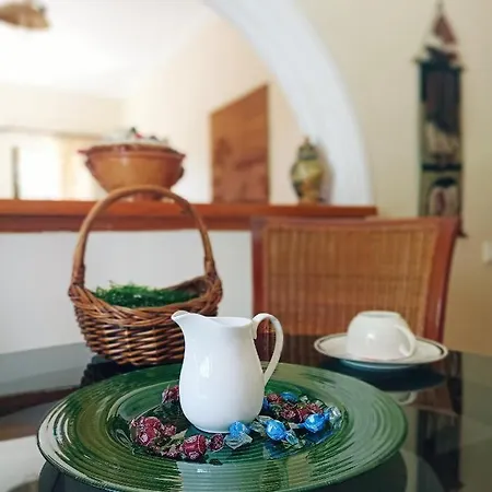 Apartment Iren