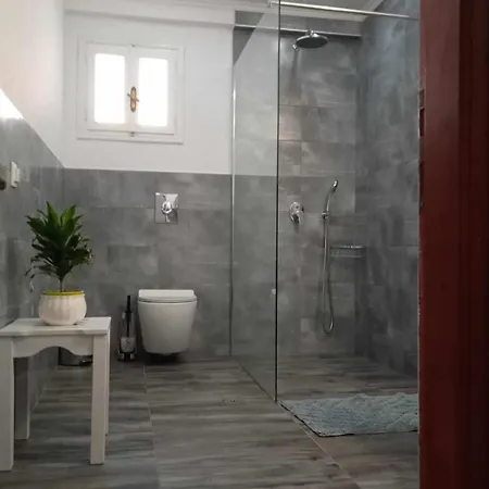 Iren Apartment *